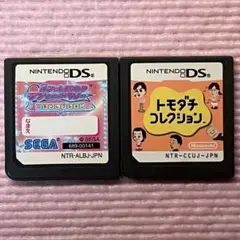 ニンテンドーDSソフト　オシャレ魔女ラブandベリーとトモダチコレクション