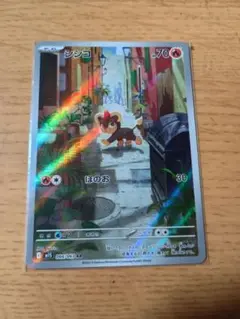 シシコ　AR