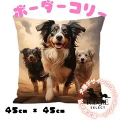 Item thumbnail for item d8641477-da23-4974-ab65-c38a01402198