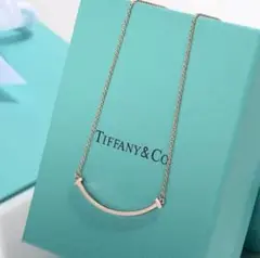 Tiffany & Co. シルバーバーネックレス