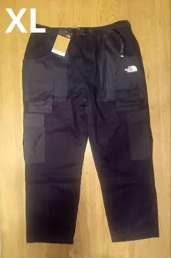 Item thumbnail for item 4bb84610-fadf-4fa2-99e1-c5c54370e477