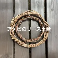 アケビのリース土台(大.小セット) D