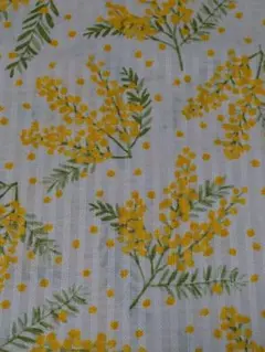 【新品】 mimosa ・花言葉[感謝] ・店舗完売❤️８月、気まぐれsale