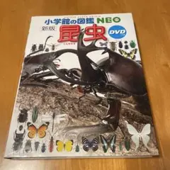 新版 昆虫 小学校の図鑑 NEO 　DVD無