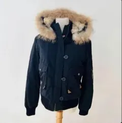 Item thumbnail for item 2e80fd0c-f22f-43e5-ae07-1e990d7735ab