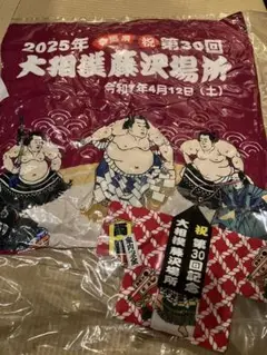 在庫ラスト1点　2025大相撲藤沢場所　座布団　おまけ付き
