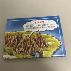 ポケットモンスターのマップ
