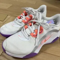 Nike スニーカー　Court Air Max Volley 22.5