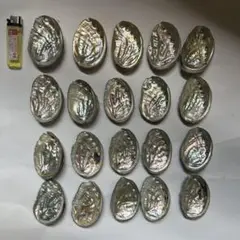虹色の貝殻 20個セット