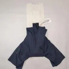 Item thumbnail for item e58b2c43-e2c2-421d-815f-3c1f5b3bac99