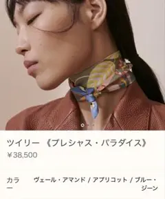 最終【タグ付新品未使用】エルメス HERMES ツイリー　プレシャスパラダイス