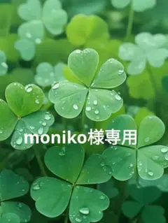 おりこうエプロン6枚セット