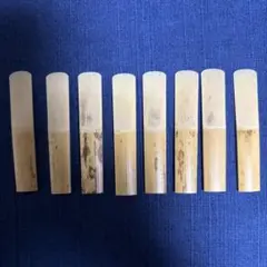 Item thumbnail for item 2940225d-2b4e-47da-b94d-92a6203adebb