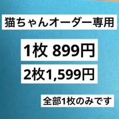猫ちゃんオーダーページです♪