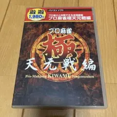 プロ麻雀 極 天元戦編 PCソフト