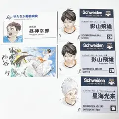 ハイキュー　名刺カードコレクション　ファンパーク　影山　星海　西谷　昼神