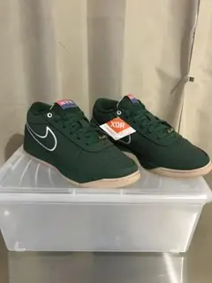 Item thumbnail for item 8c47f3fe-7871-4847-8e91-989bb06824d6