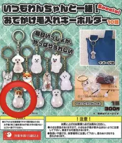 Item thumbnail for item db457bfe-fedf-43f8-a3eb-1becca7c1811