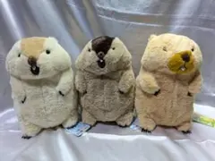 マーモットのもっとっとモア ぬいぐるみ JB 全3種セット