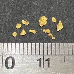 ⑬北海道産　国産砂金　国産自然金 公式の店舗 ⑬北海道産 国産砂金 国産自然金 コレクション