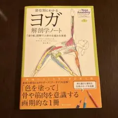 部位別にわかるヨガ解剖学ノート