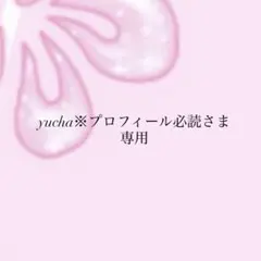 専用