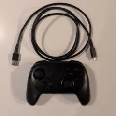 Nintendo Switch Pro Controller 有線 ブラック