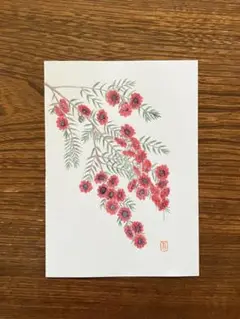 色鉛筆で描いた花の絵　ギョリュウバイ
