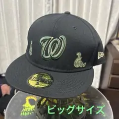 Item thumbnail for item 32b2b190-da8e-4d79-8cdc-3e71e41000dd