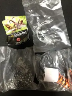 有毒危険動物大全２　インディアンタイガーセンチピード　ポルカドットスティングレイ