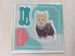 東京リベンジャーズ 花垣武道 どうぶつフォーゼ アクリルスタンド