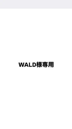 Pendleton ペンドルトン　ロンT