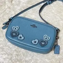 ✨希少•美品✨コーチ ショルダーバッグ ティーローズ アップリケ ダブルジップ