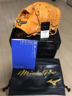 対談記念 限定モデル ミズノプロ 内野 グローブ