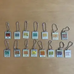 ワンピース　WANTEDキーホルダー　15個