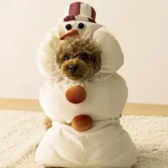 Item thumbnail for item 4b48efb5-16a6-4f9e-a432-a811d2f62ce5