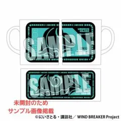 WIND BREAKER ドンキホーテ限定ハッピーバッグ豪華版マグカップ/梅宮一
