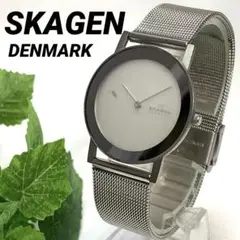 864A SKAGEN スカーゲン レディース 腕時計 クオーツ式 電池交換済