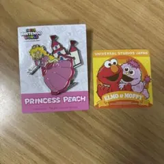USJ ニンテンドー ピンズコレクション ピーチ姫