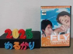 FLY,DADDY,FLY('05「フライ,ダディ,フライ」製作委員会) DVD