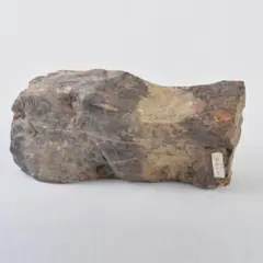 Item thumbnail for item 45285e1b-143b-46de-a4cc-aaaafd4195ac