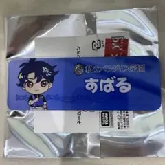 アイプリ ネームプレートマグネットコレクション すばる