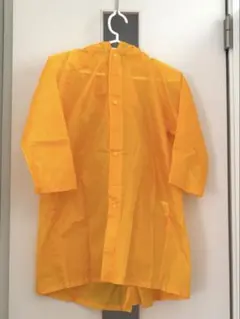 Item thumbnail for item 4c429a94-defe-4d36-aed3-669f95895ad7