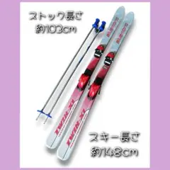 超希少！入手不可！レア品 ＴＲＡＮＳＯＮＩＣ社　モノスキー① 超希少！入手不可！レア品 TRANSONIC社 モノスキー①
