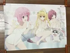 懸賞当選品　ララ＆春菜　To LOVEる とらぶる　描き下ろしB2クリアポスター 71MKhSVMu7L._AC_SY200_QL15_.jpg