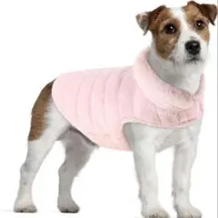 Item thumbnail for item 24f4ae49-4cba-4dbf-9bd8-837ec166b3e4