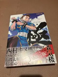 『ストリートファイターアートワークス 極』『ヴァンパイア　アートワークス』 51jM84OZEZL._SY200_QL15_.jpg