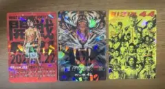 RIZIN ポテトスティック　朝倉未来3枚セット　クレベルコイケ