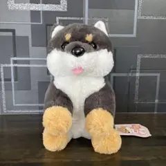 くったり柴犬の赤ちゃん　コンパクトジャンボ ぬいぐるみ 　くろりん