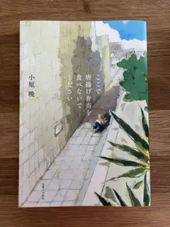ここで唐揚げ弁当を食べないでください